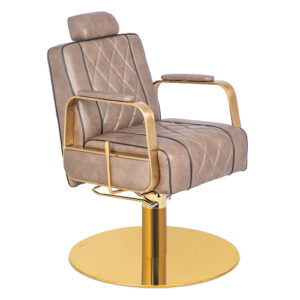 salon chair 29 a38i1051