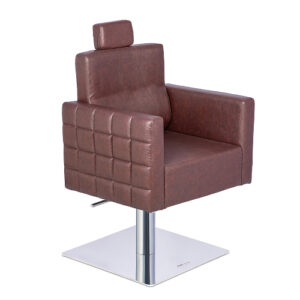 salon chair 30 a38i1059