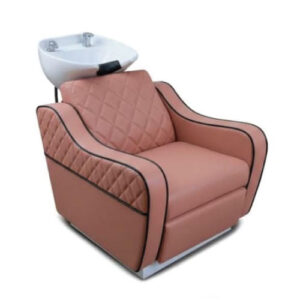 Venus Electrical Hair Wash Station