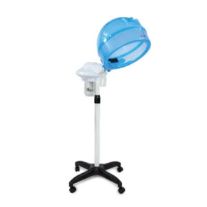 Hair & Face Steamer