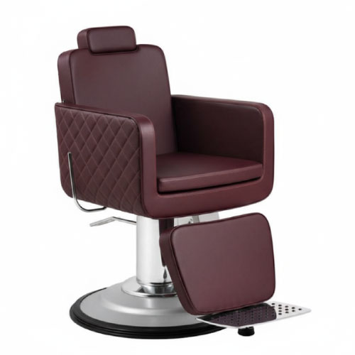 Destiny Barber Chair Steel - Image 3