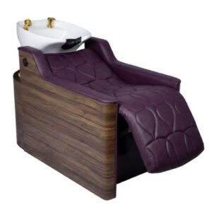 onyx-electric-hair-wash